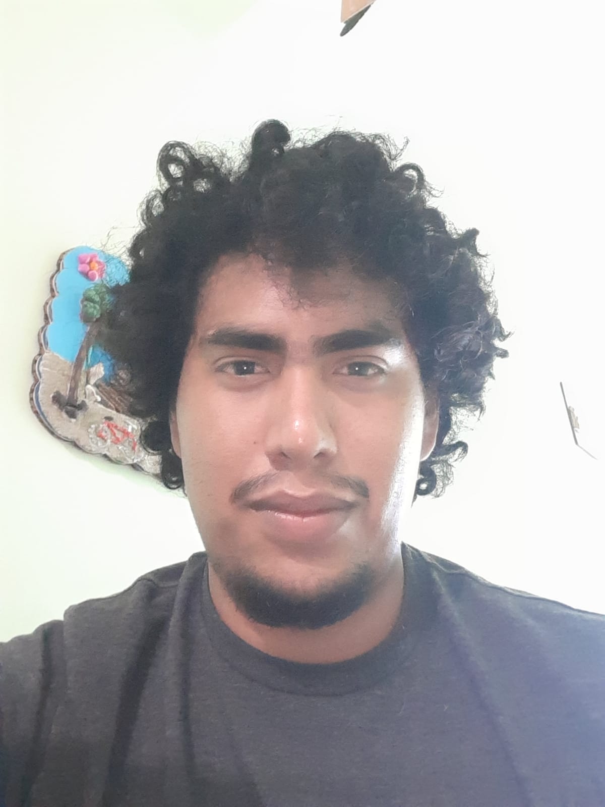 Mr. Cesar Eduardo Tiznado Alonso
